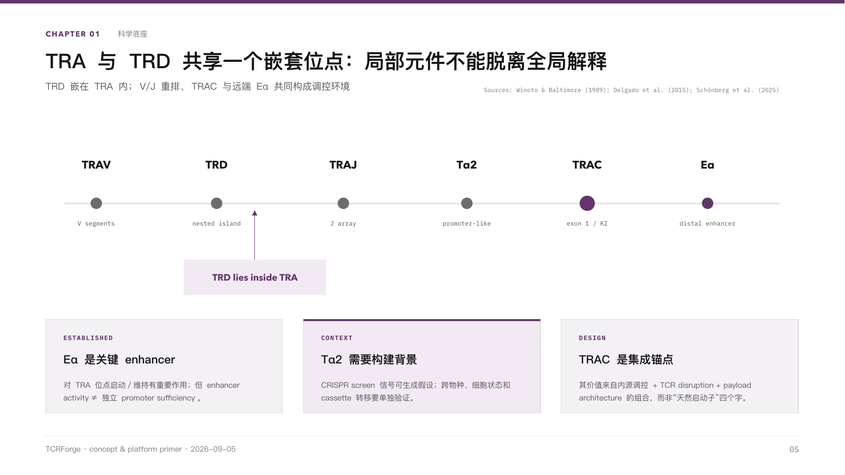 TCRForge primer — Slide 5 of 21